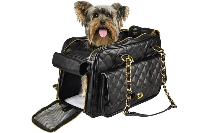 Sac de transport Gigi Noir