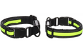 COLLIER FLITZY LED (30A40CM)