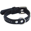 Collier chien Glamorous 1 rang de strass