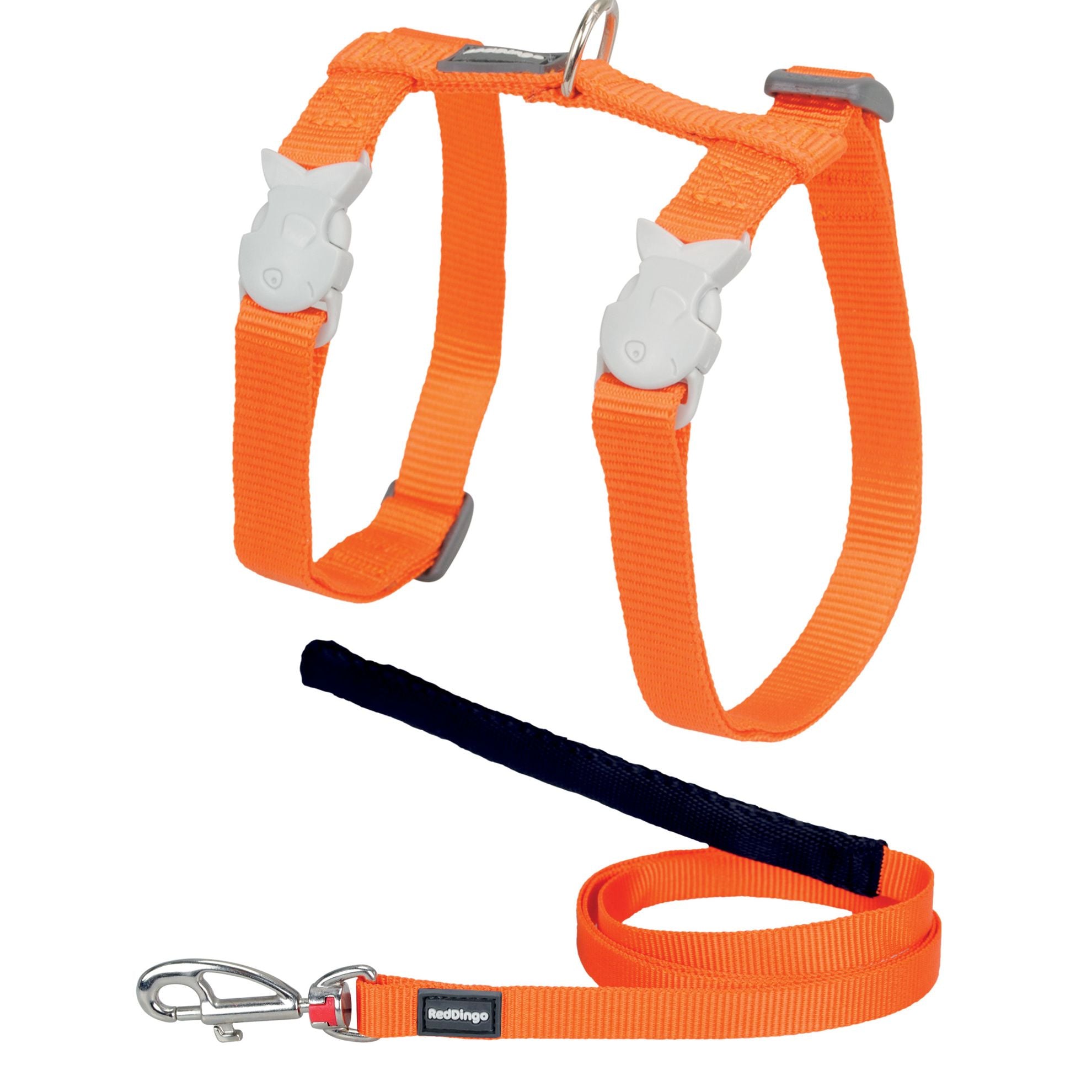 Harnais et Laisse Basic chat