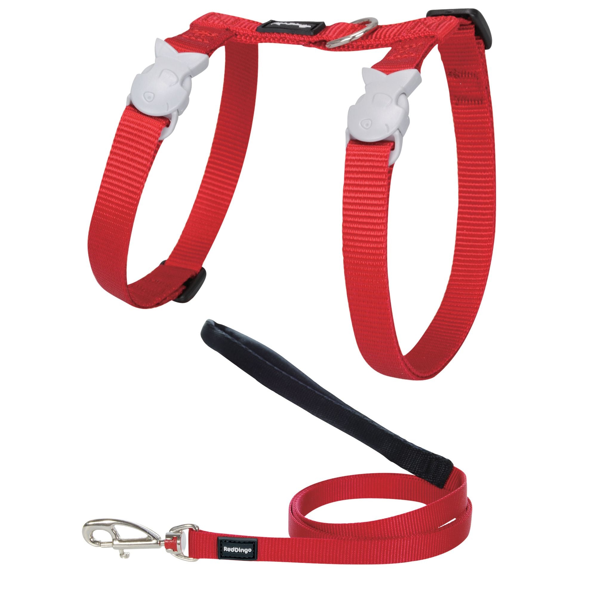 Harnais et Laisse Basic chat