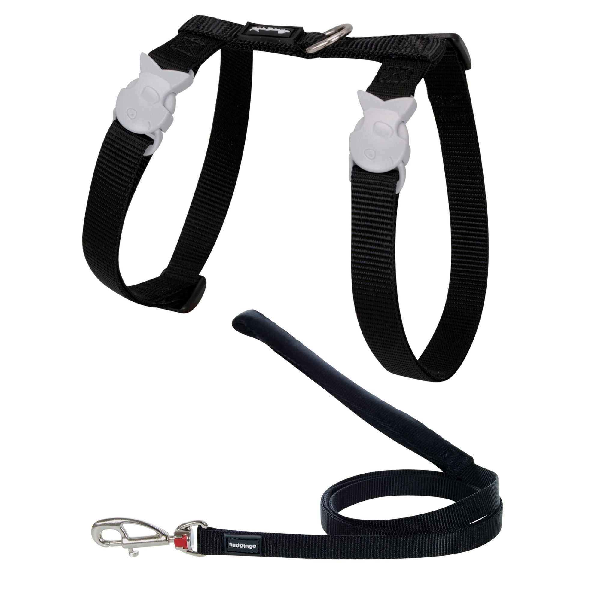 Harnais et Laisse Basic chat