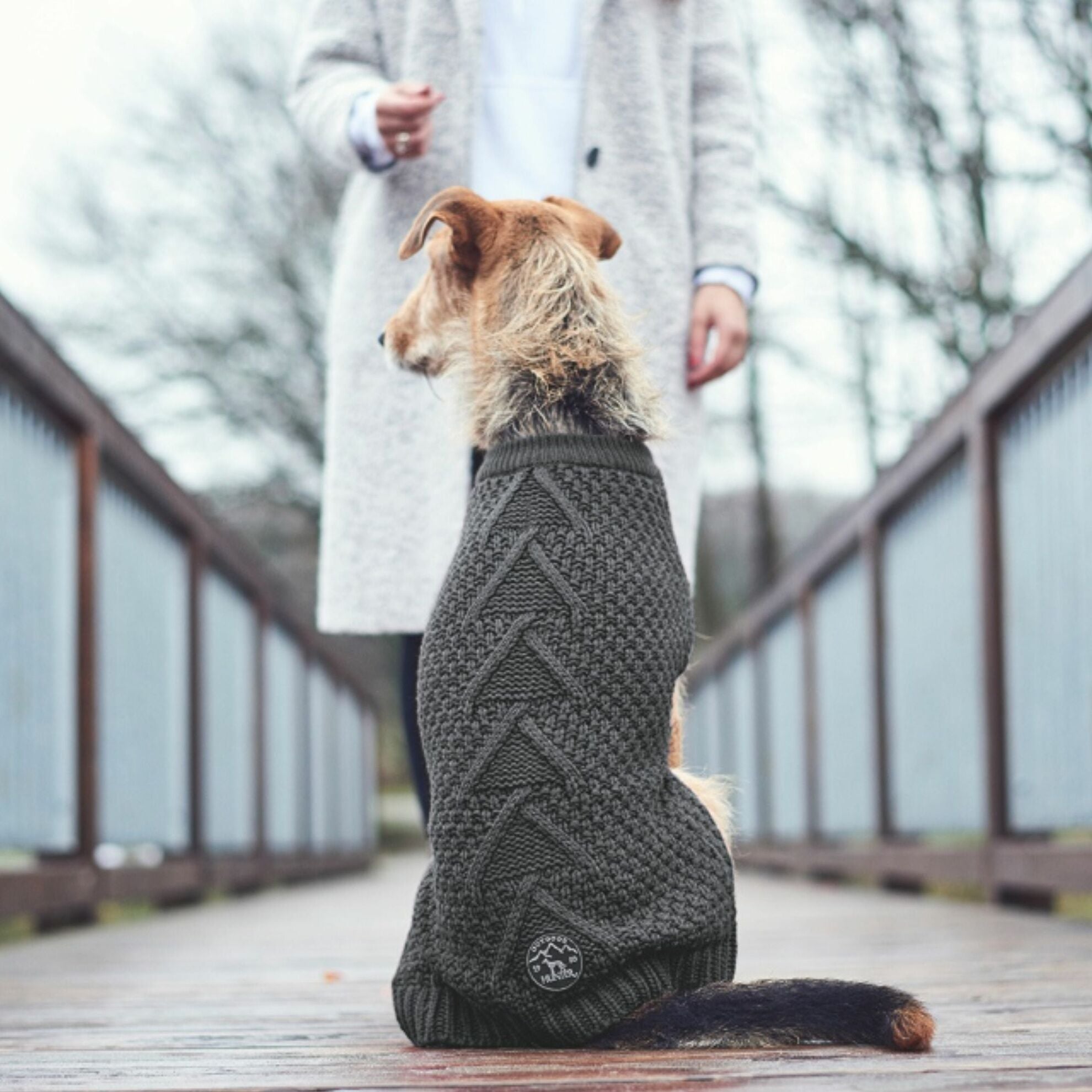 Pull MALMO pour chien Gris