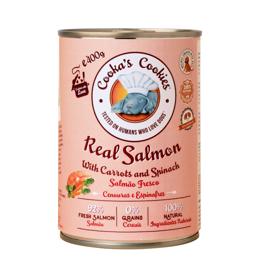 Aliments humides – Vrai saumon