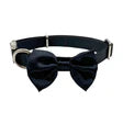COLLIER NOEUD PAPILLON (32A50CM)