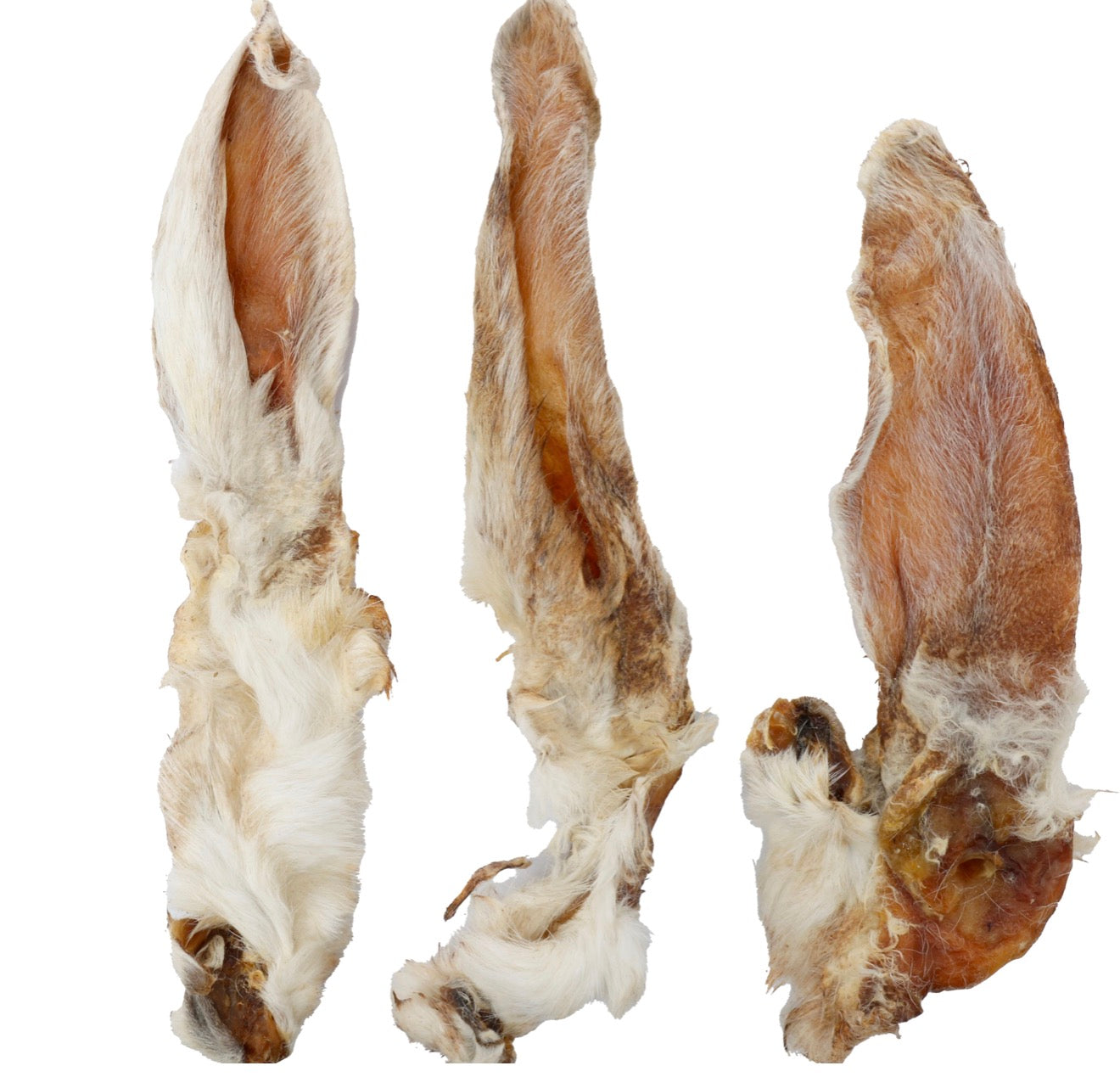 Oreille de lapin
