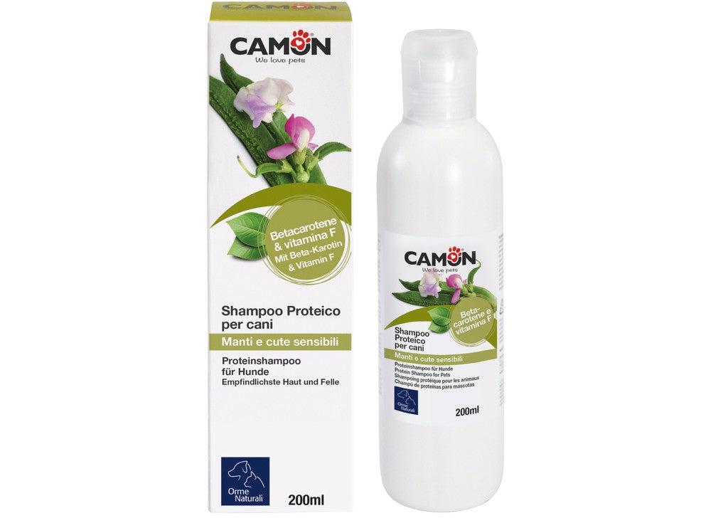 Shampoing protéiné