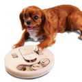 Jeu d'intelligence pour chiens