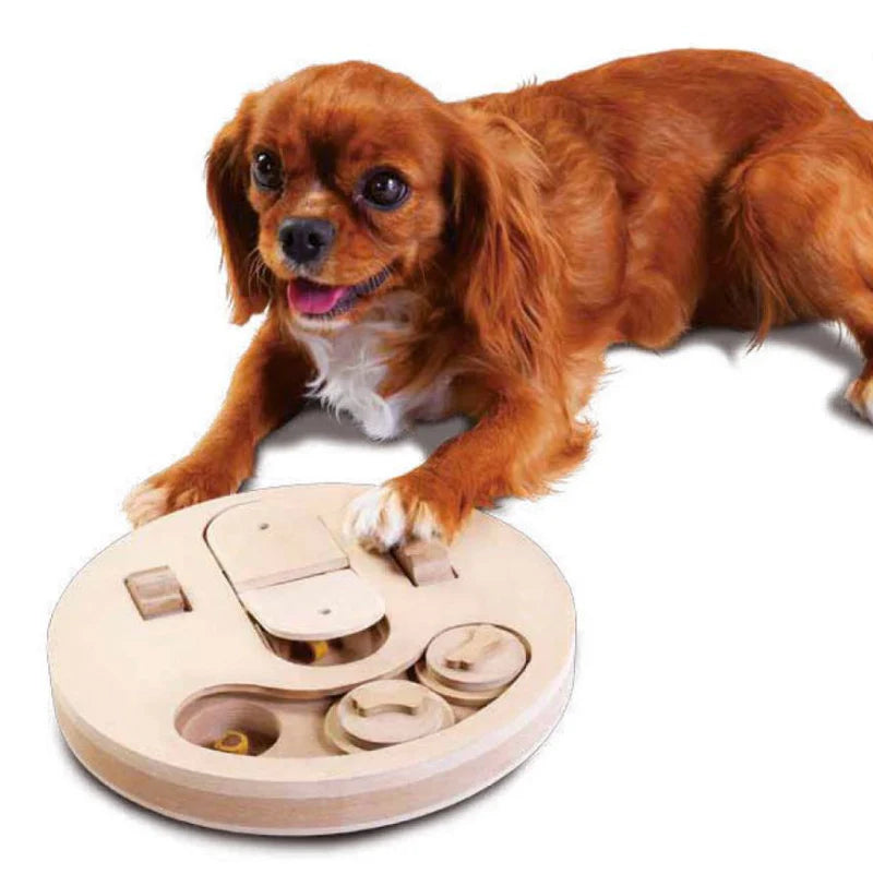 Jeu d'intelligence pour chiens