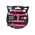 Kit collier, harnais et laisse pour chats Bobby Safe