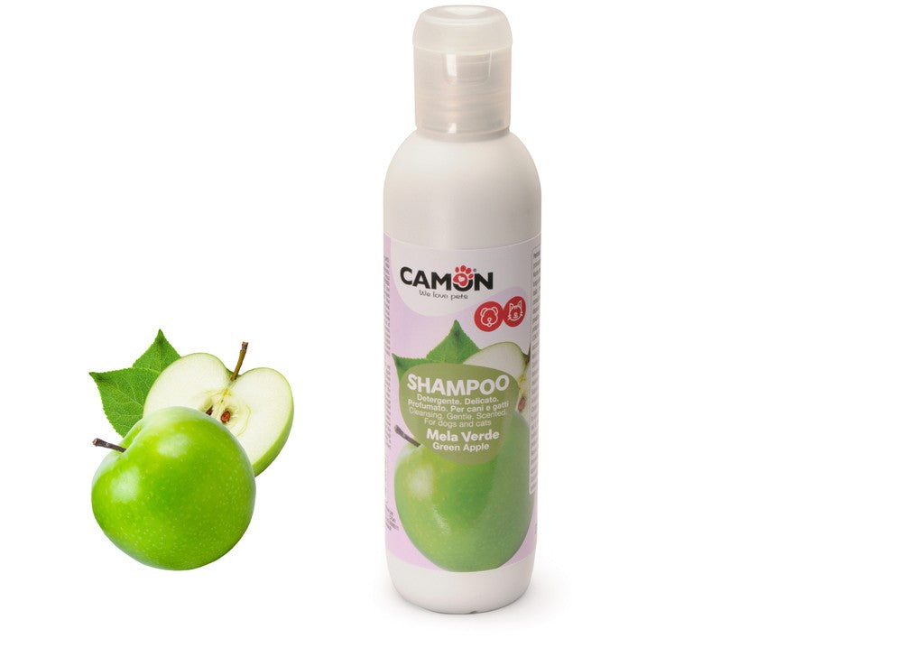 Shampoing protéiné