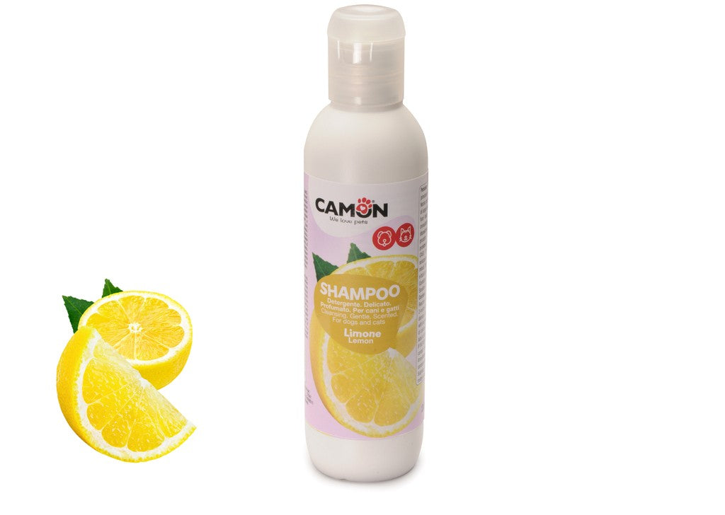 Shampoing au citron