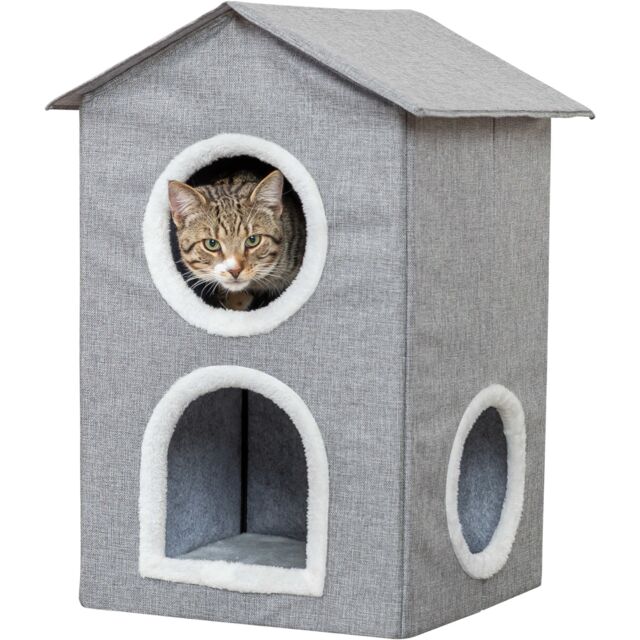 MAISON CHAT