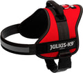 Harnais Power Julius-K9®, 0-3