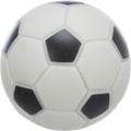 Football pour chiens