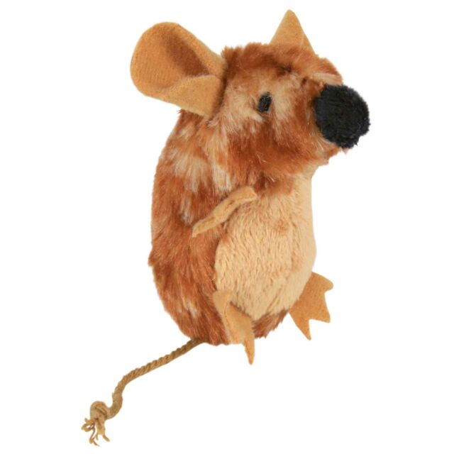 Souris