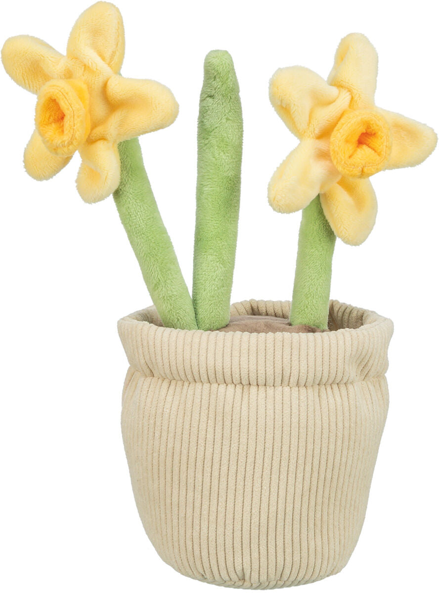 JONQUILLE 25CM