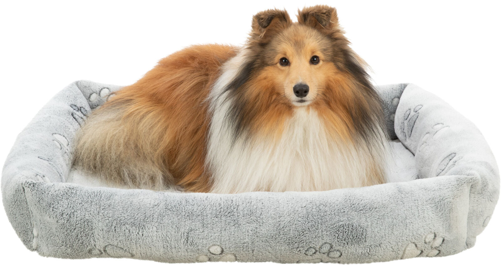 Lit Jimmy Soft TRIXIE