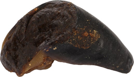 Friandises Nature Sabot de buffle avec tripes