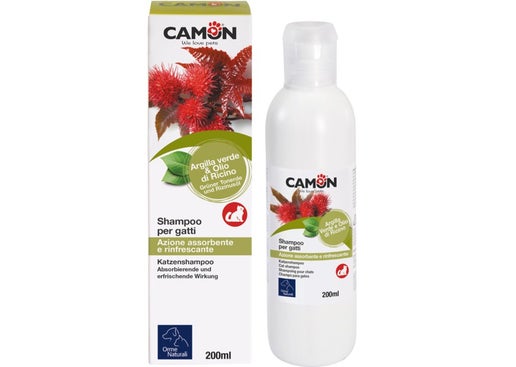Shampoing pour chats