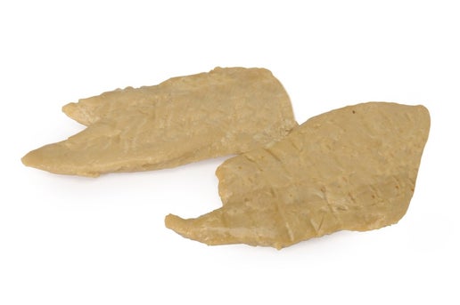 Filets de canard