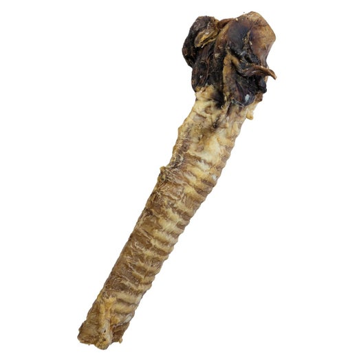 NIKI NAT.BARF BUFFLE TRACHEE  30CM